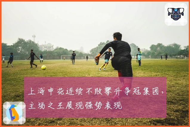上海申花连续不败攀升争冠集团，主场之王展现强势表现