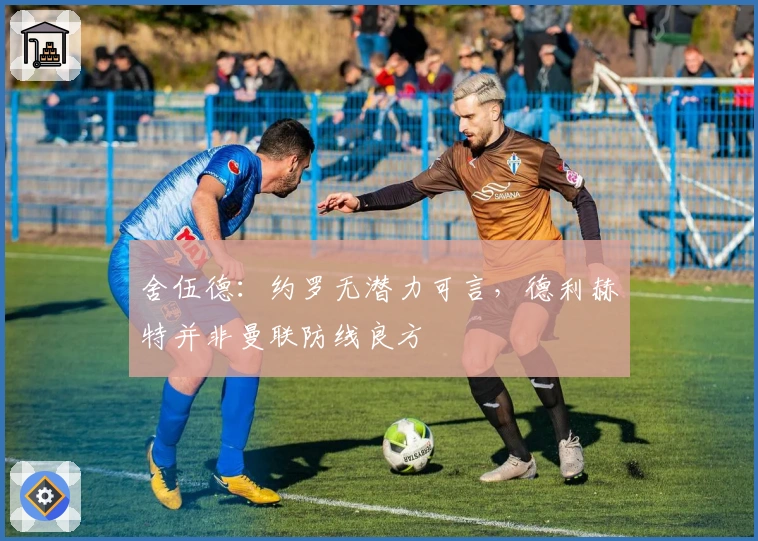 舍伍德：约罗无潜力可言，德利赫特并非曼联防线良方